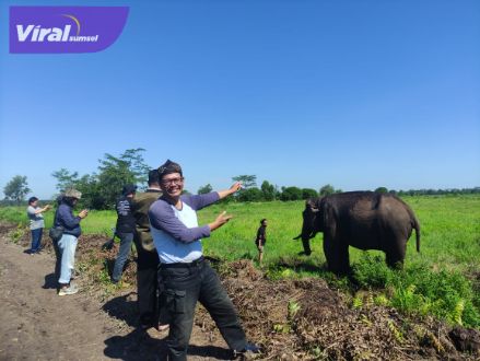 Puskass Pelajari Konflik Gajah Palembang dan Manusia di OKI. Foto : ist