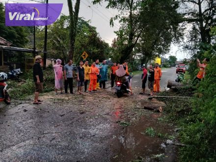 Respon Cepat, BPBD Muba Tuntaskan Pohon Tumbang yang Ganggu Akses Jalan Praja Permai . Foto : viralsumsel.com/dev