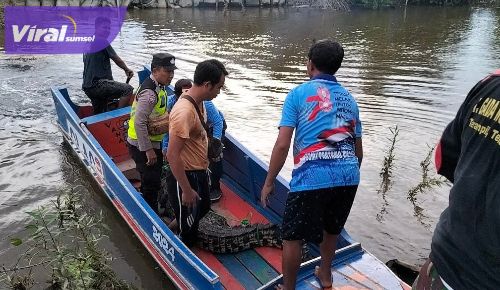 Warga Sungai Menang OKI Kembali Berhasil Tangkap Buaya  Tiga Meter. Foto : viralsumsel.com/ril