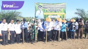 Tanam Perdana Padi Gogo Tumpang Sisip Kelapa Sawit. Foto : viralsumsel.com/man
