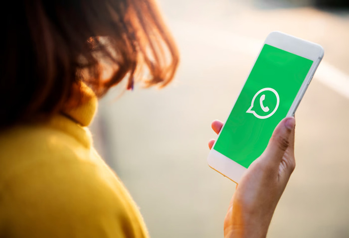 Ini Alasan Kenapa WhatsApp Official Centang Hijau Tidak Bisa Untuk Akun Pribadi. Foto: viralsumsel.com