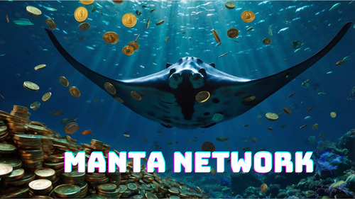 Memaksimalkan Keuntungan dengan Staking Manta di Ekosistem Manta Network. Foto : viralsumsel.com