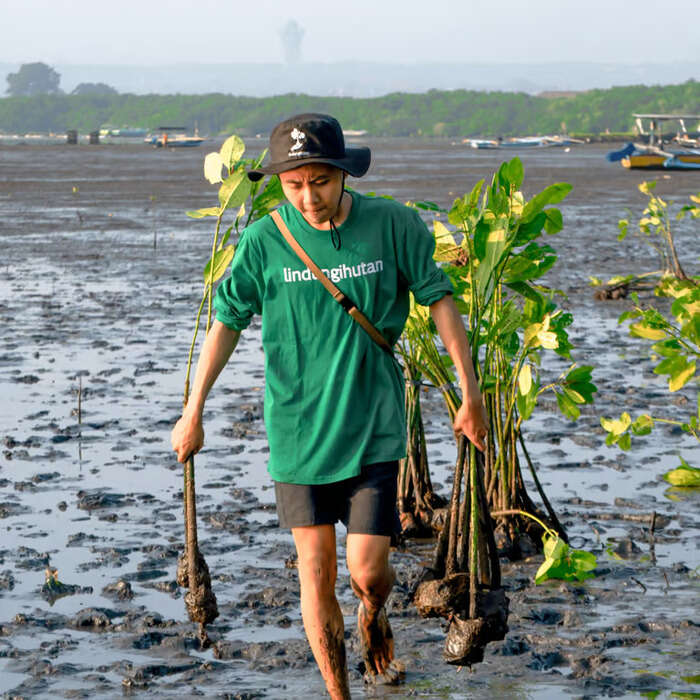 Capaian LindungiHutan dalam Melestarikan Lingkungan Sepanjang 2023. Foto: viralsumsel.com