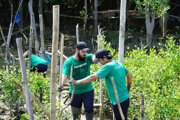 Makna Kemerdekaan dan Pelestarian Lingkungan Menurut CEO LindungiHutan. Foto : viralsumsel.com