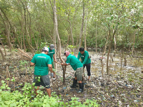 Ekowisata Mangrove Wonorejo Hadapi Tantangan Besar Akibat Sampah. Foto: viralsumsel.com