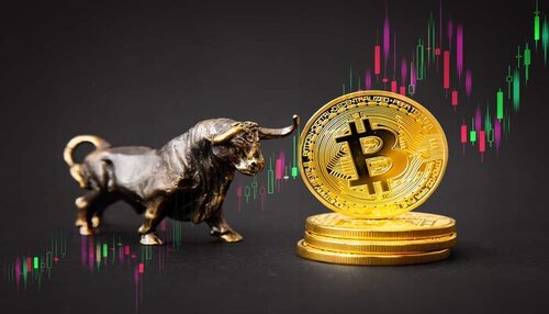 Ilustrasi Bull Run Bitcoin, Bittime. Foto: viralsumsel.com