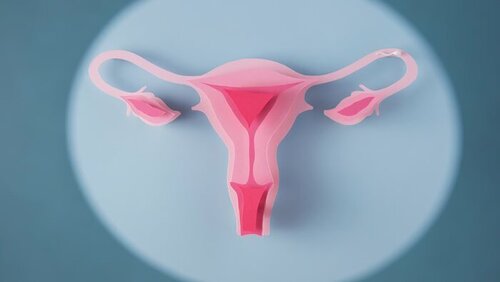 Ilustrasi Gejala & Bahaya Inversio Uteri, PT Yoona Digital Indonesia. Foto: viralsumsel.com