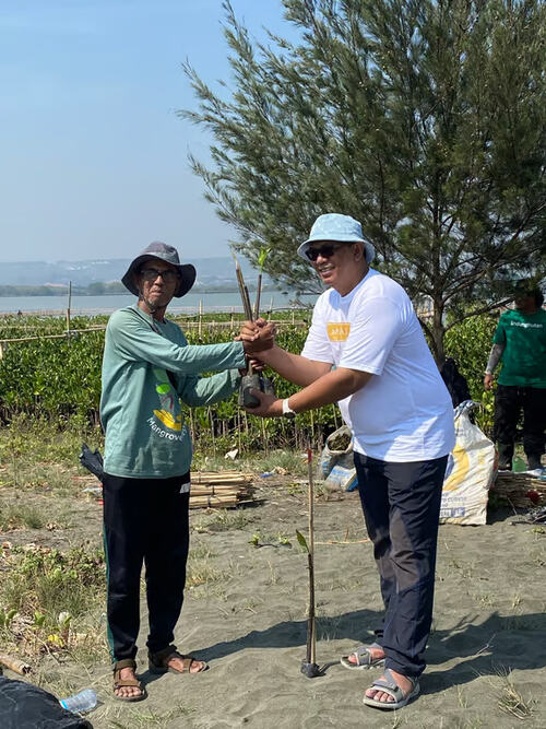 The Wujil Resort Ungkap Kerja Sama dengan LindungiHutan dan Perkembangan Mangrove Terkini. Foto: viralsumsel.com
