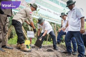 PT Ghutrie Pecconina Indonesia Tanam 1000 Pohon, Bantu 15 Masjid dan Berikan Bantuan Ratusan Paket Sembako di Muba. Foto : viralsumsel.com /dev