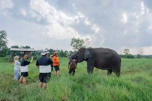 LindungiHutan dan Taman Nasional Way Kambas Tingkatkan Konservasi dan Pemberdayaan Masyarakat. Foto: viralsumsel.com