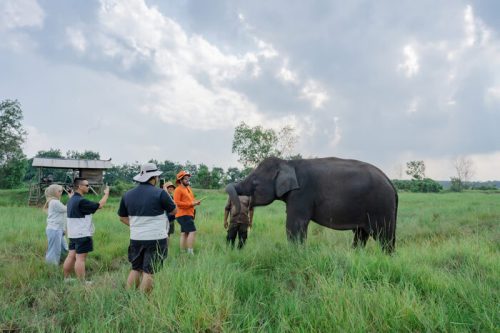 LindungiHutan dan Taman Nasional Way Kambas Tingkatkan Konservasi dan Pemberdayaan Masyarakat. Foto: viralsumsel.com