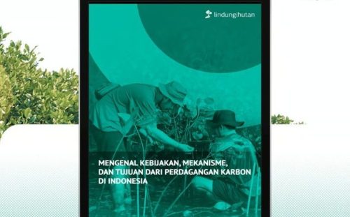 Panduan Praktis Memahami Perdagangan Karbon di Indonesia. Foto: viralsumsel.com
