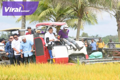 Pj Gubernur Sumsel Elen Setiadi Dampingi Menko Pangan Zulkifli Hasan Panen Raya di Banyuasin. Foto : viralsumsel.com /win