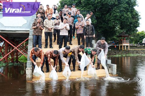 Tebar Seratus Ribu Bibit Ikan di Danau Ulak Lia Kabupaten Muba, 80.000 Ekor Diantaranya Ikan Jelawat. Foto : viralsumsel.com /dev Tebar Seratus Ribu Bibit Ikan di Danau Ulak Lia Kabupaten Muba, 80.000 Ekor Diantaranya Ikan Jelawat. Foto : viralsumsel.com /dev