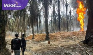 Kebakaran sumur minyak illegal atau illegal drilling kembali terjadi di Kabupaten Musi Banyuasin (Muba). Foto : ist