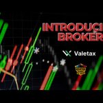 Nusantara Global Network Gandeng Valetax untuk Luncurkan Program "Menjadi Introducing Broker". Foto : viralsumsel.com