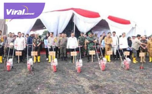 Ketua DPRD Ogan Ilir H Edwin Cahya Putra Hadiri Penanaman Jagung Serentak 1 Juta Hektar. Foto : viralsumsel.com /jun