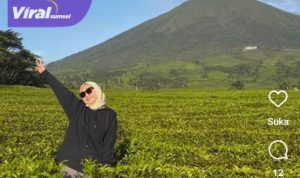 Anggota DPD RI Amaliah Sobli Ungkap Keindahan Gunung Dempo, Destinasi Wisata yang Wajib Dikunjungi!. Foto : viralsumsel.com /fia