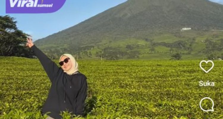 Anggota DPD RI Amaliah Sobli Ungkap Keindahan Gunung Dempo, Destinasi Wisata yang Wajib Dikunjungi!. Foto : viralsumsel.com /fia