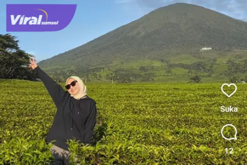 Anggota DPD RI Amaliah Sobli Ungkap Keindahan Gunung Dempo, Destinasi Wisata yang Wajib Dikunjungi!. Foto : viralsumsel.com /fia