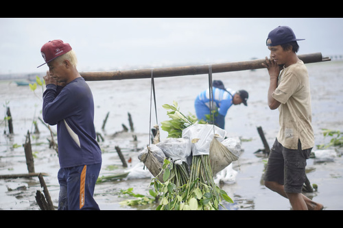 Kini, LindungiHutan Punya Layanan Impact Report untuk Ukur Dampak Hijau. Foto : viralsumsel.com