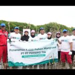 PTPP Hijaukan Pesisir Tambakrejo dengan 1.000 Mangrove, Lindungi Masyarakat dari Abrasi dan Perubahan Iklim. Foto : viralsumsel.com