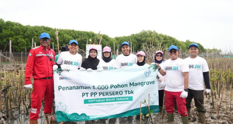PTPP Hijaukan Pesisir Tambakrejo dengan 1.000 Mangrove, Lindungi Masyarakat dari Abrasi dan Perubahan Iklim. Foto : viralsumsel.com