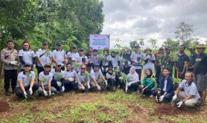 Dukung Keberlanjutan Lingkungan, PT PHC Indonesia Tanam 500 Pohon Alpukat di Desa Pasirbungur. Foto: viralsumsel.com