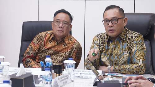 Temui Wamen Investasi dan Hilirisasi RI, Wagub Sumsel Cik Ujang Optimis Tanjung Carat Groundbreaking Tahun 2025.Foto : humas pemprov