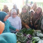 Dibuka Dewi Sastrani Ratu Dewa, Harga Bersahabat, Pasar Murah di Karanganyar Ramai Diserbu Warga. Foto : viralsumsel.com /nto