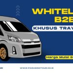 Paradiso Tour Hadirkan Layanan Transportasi Standar Pariwisata untuk Agen Travel! Foo: viralsumsel.com