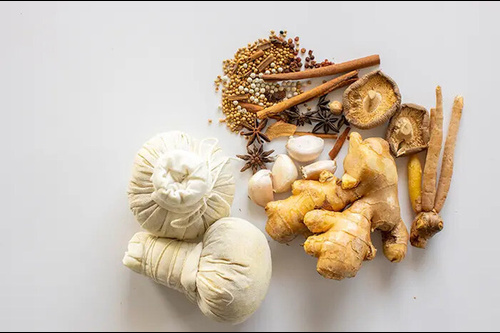 11 Tanaman Herbal untuk Nyeri Otot dan Sendi: Manfaat dan Khasiat nya. Foto : viralsumsel.com