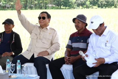 Herman Deru Ikut Panen Raya Serentak Bersama Presiden Prabowo di Kabupaten OKI. Foto  : humas pemprov 