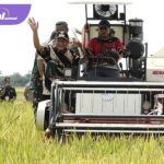 Panen Raya di OKU Timur: Petani Sumsel Dapat ‘Hadiah’ dari Presiden. Foto : viralsumsel.com /lay
