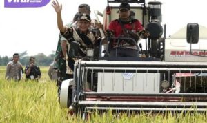 Panen Raya di OKU Timur: Petani Sumsel Dapat ‘Hadiah’ dari Presiden. Foto : viralsumsel.com /lay