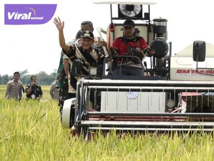 Panen Raya di OKU Timur: Petani Sumsel Dapat ‘Hadiah’ dari Presiden. Foto : viralsumsel.com /lay