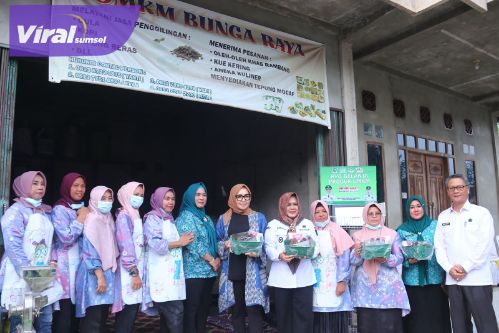 Senator Hj. Eva Susanti Tinjau UMKM Tepung Mocaf dan Salurkan Bantuan Modal Usaha di Muara Enim. Foto : viralsumsel.com/ril