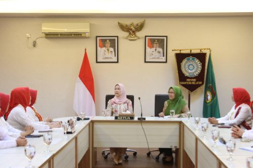 Ketua TP PKK Sumsel Febrita Lustia HD Harapkan Keberadaan Perempuan Indonesia Maju Berkontribusi Dalam Mensejahterakan Masyarakat Sumsel. Foto : viralsumsel.com /win
