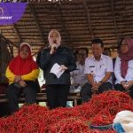 Panen Raya Cabe Banyuasin, Netta Indian Dorong Petani Jadi Pilar Ketahanan Pangan Daerah!. Foto : viralsumsel.com /no