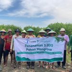 Cegah Abrasi, Stockity Tanam 3.000 Mangrove di Pesisir Semarang. Foto: viralsumsel.com