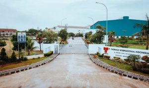 Thermax Hadirkan Solusi Pemanas Proses Listrik untuk Dukung Transisi Energi Bersih di Indonesia. Foto: viralsumsel.com