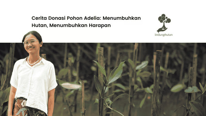 Aksi Adelia Menjadi Inspirasi bagi Gerakan Menanam Pohon. Foto : viralsumsel.com