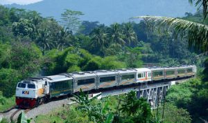 Dorong Keberlanjutan dan Kesejahteraan Lewat TJSL. Foto : viralsumsel.com