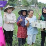 Hj. Eva Susanti Dukung Petani Hortikultura di Palembang, Serahkan Bantuan Modal untuk Tingkatkan Ketahanan Pangan. Foto : viralsumsel.com /no