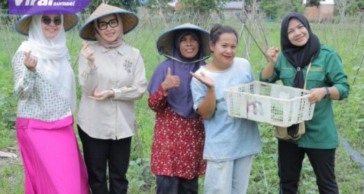 Hj. Eva Susanti Dukung Petani Hortikultura di Palembang, Serahkan Bantuan Modal untuk Tingkatkan Ketahanan Pangan. Foto : viralsumsel.com /no
