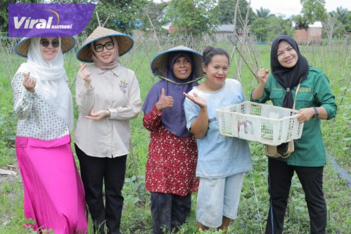 Hj. Eva Susanti Dukung Petani Hortikultura di Palembang, Serahkan Bantuan Modal untuk Tingkatkan Ketahanan Pangan. Foto : viralsumsel.com /no