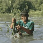 LindungiHutan Peringati Hari Keanekaragaman Hayati Internasional. Foto: viralsumsel.com