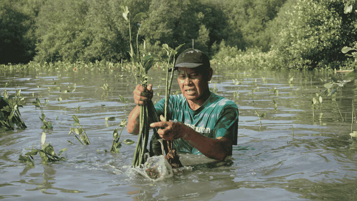 LindungiHutan Peringati Hari Keanekaragaman Hayati Internasional. Foto: viralsumsel.com