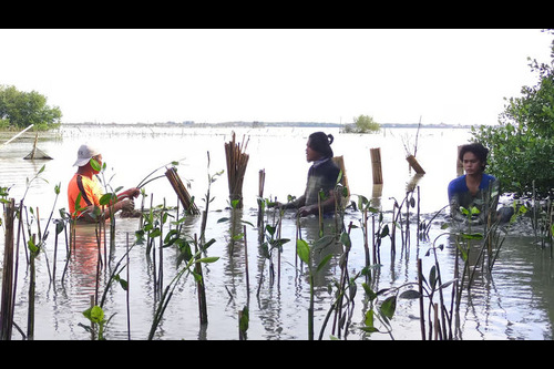 Momentum Hari Buruh, LindungiHutan Soroti Peran Komunitas untuk Konservasi Lingkungan. Foto : viralsumsel.com