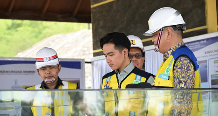 PTPP Tegaskan Komitmen Dukung Ketahanan Pangan. Foto : viralsumsel.com